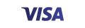 Pay with Visa